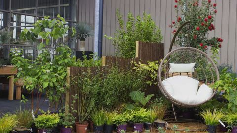 Juxtaposant espaces de production, de vente et de services, la pépinière-magasin de Quimper mise à la fois sur une clientèle de professionnels et de particuliers, mêlant autonomie et accompagnement à la connaissance des plantes. (c) La Grande pépinière.